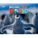 Welcome to Our World 2 Flashcards Set